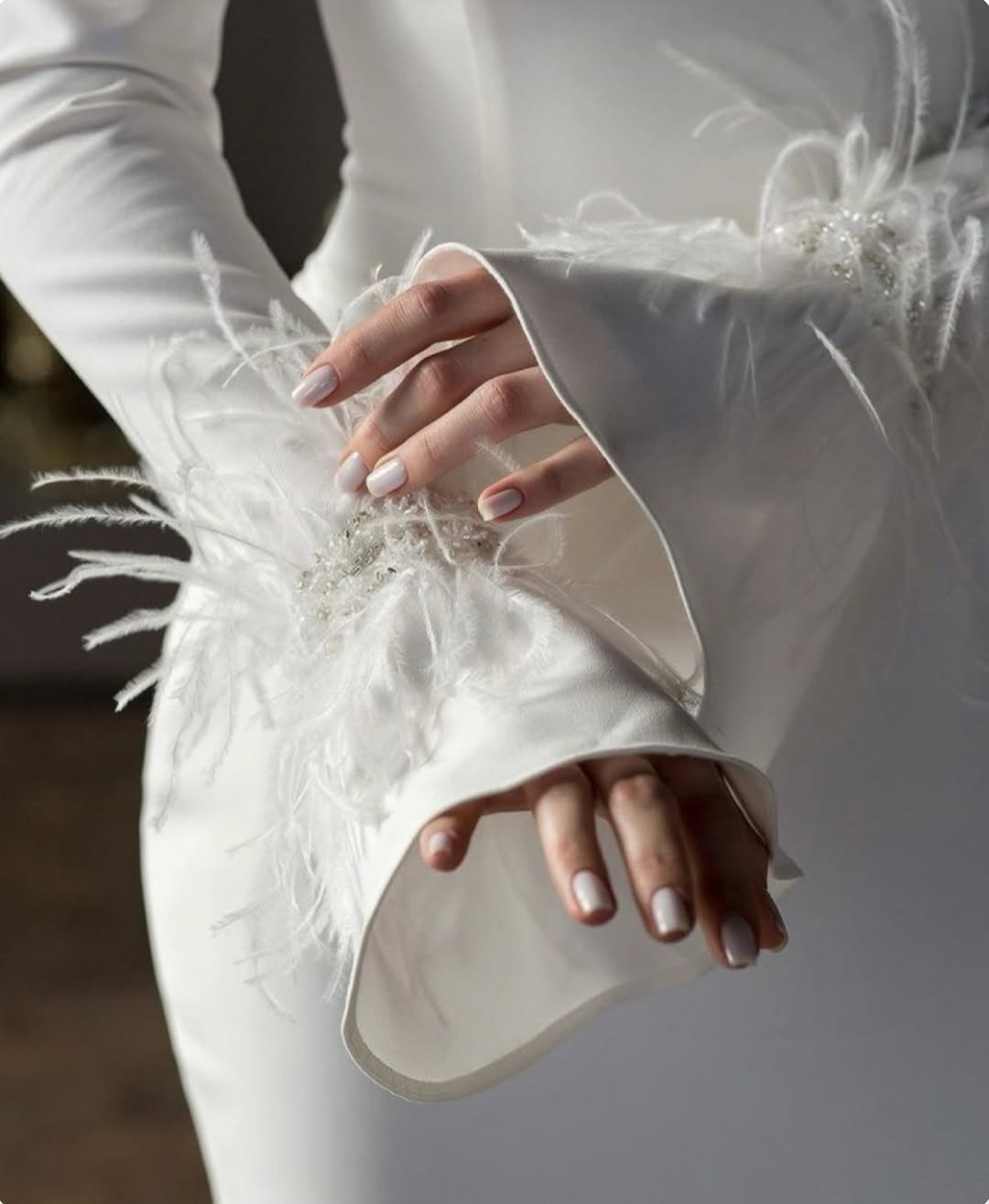 Dentelle et Soie